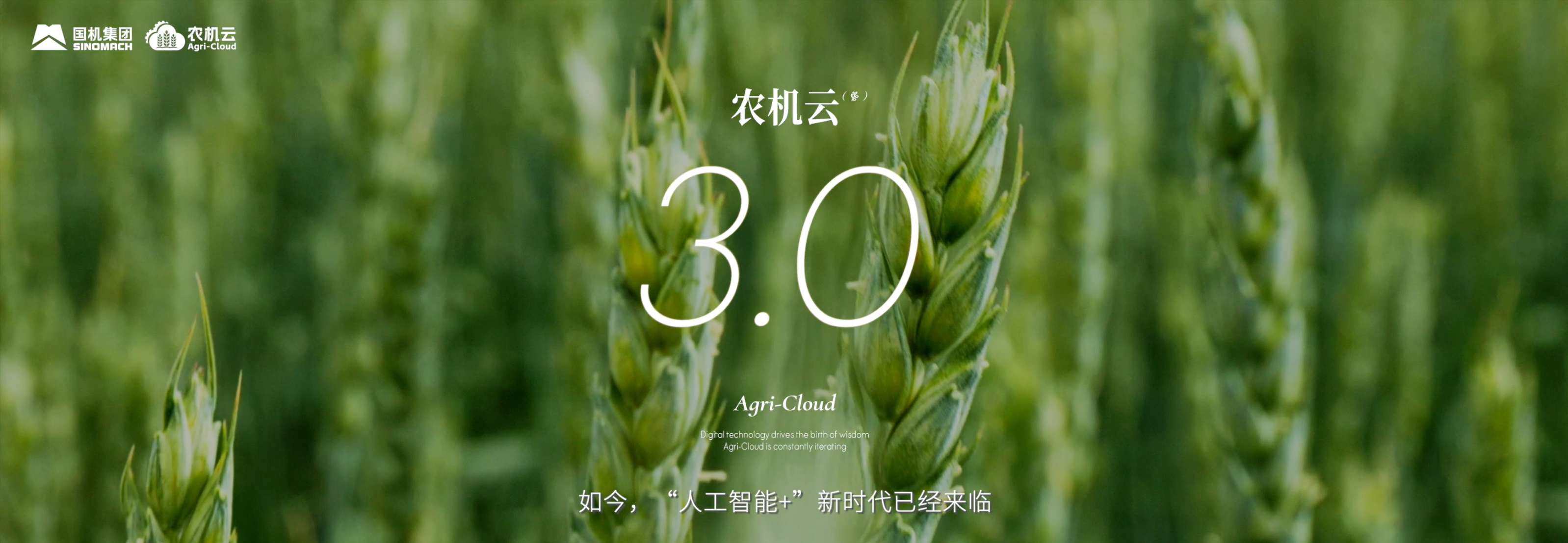 28圈